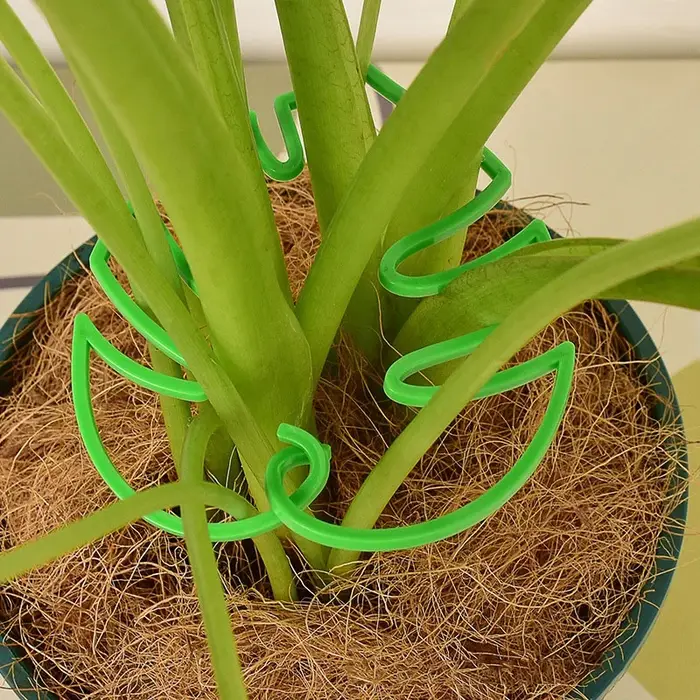 Monstera Support pour plantes