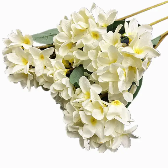 Une branche de fleur Frangipanier en soie avec feuilles vertes Plumeria Rubra fleur Frangipani blanche