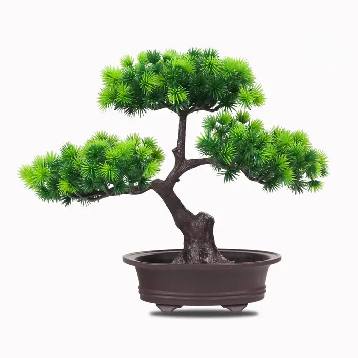 Plantes artificielles enrichies bonsaï