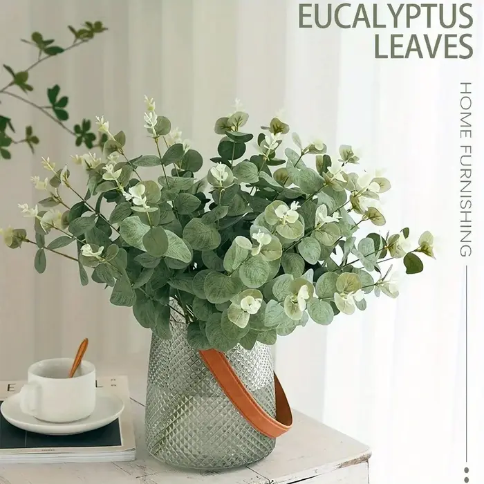 Tiges de feuilles d'eucalyptus