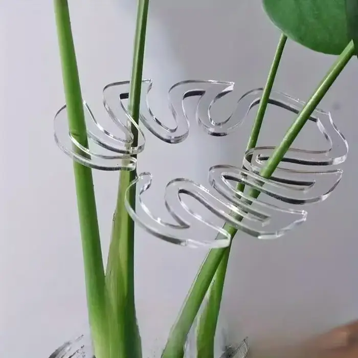 Lot de 10 pinces de support de plantes transparentes et flexibles - Pinces de jardin réglables avec
