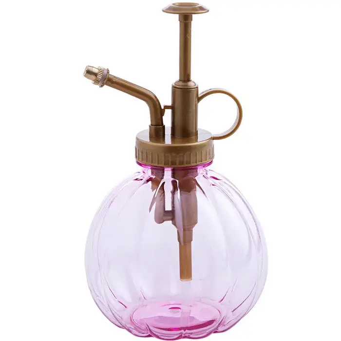 Arrosoir de jardin en verre pour plantes et fleurs