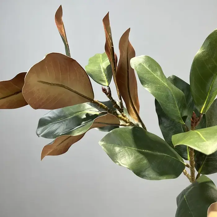 Grande plante artificielle de magnolia