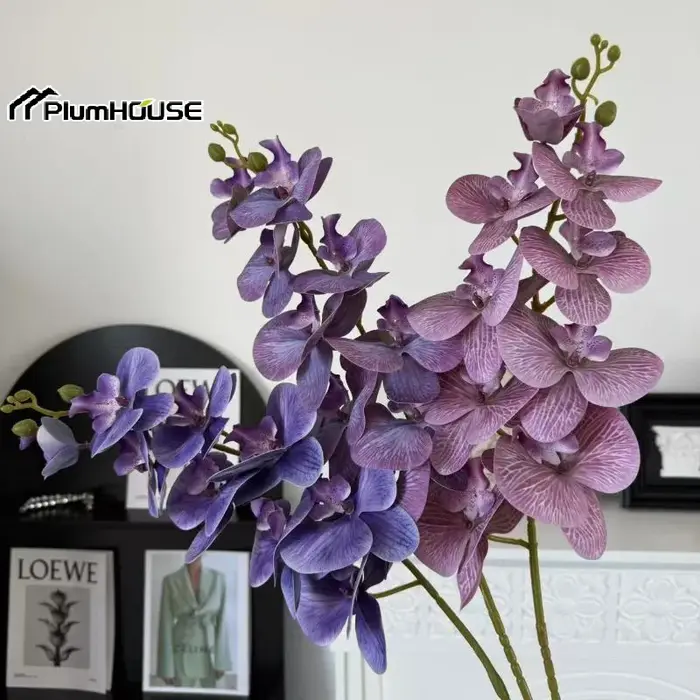 Phalaenopsis artificiel