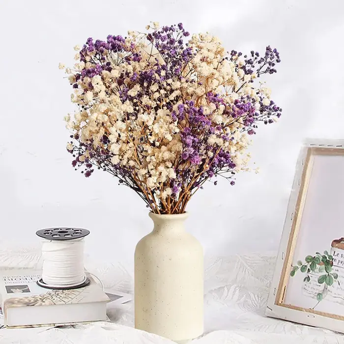 Bouquet de fleurs séchées naturelles Gypsophila (Souffle de bébé) 120g, toucher réel, cadeau Fête de