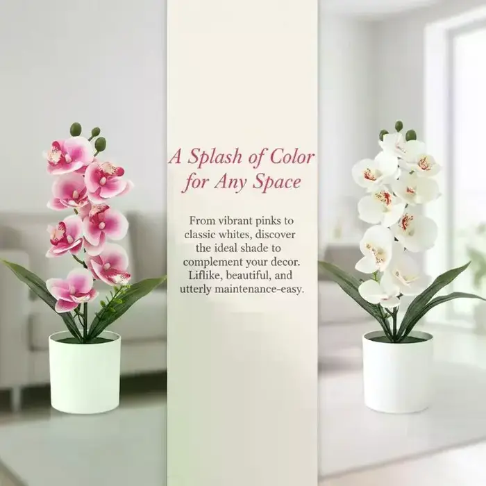 5 Plantes artificielles Phalaenopsis en pot pour la décoration de la maison et du bureau, petites plantes en pot, faux bonsaïs, plantes vertes