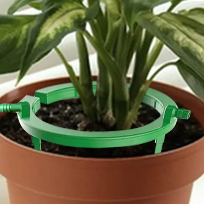 Anneaux d'eau pour plantes