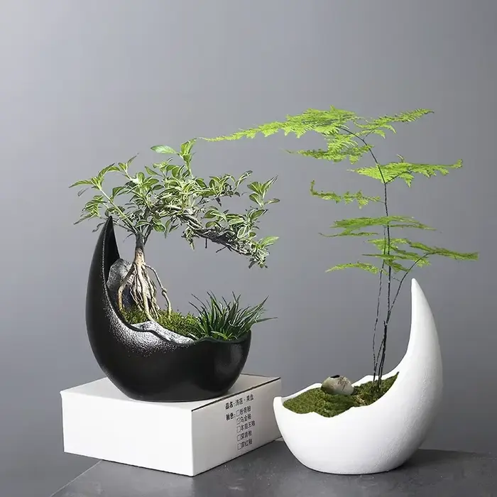 Pot de fleur en céramique en forme de corne de rhinocéros