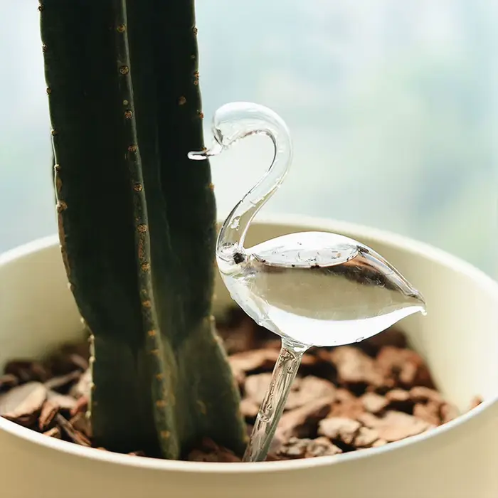 Dispositif d'Arrosage existent Transparent pour Plantes d'Nik, Élégant, 007