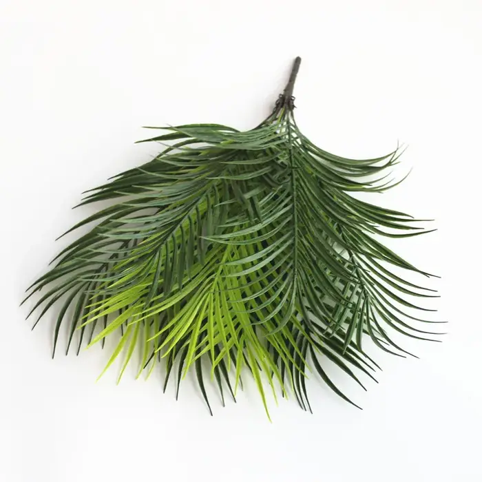 Feuilles de palmier Monstera Tropical