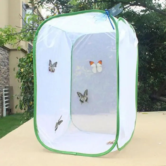 Mini Boîte d'Alimentation Noire pour Insectes