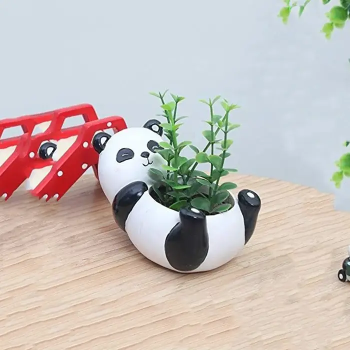 Pot de plantes panda mignon