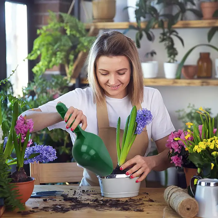 Bêche de jardin, bêche de plantation