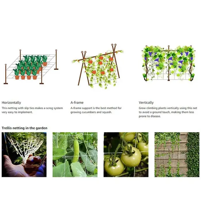 Filet d'escalade pour plantes horticoles