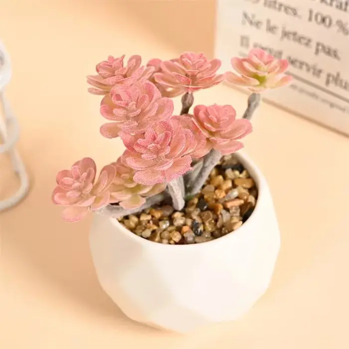 Ensemble de Mini plantes succulentes artificielles