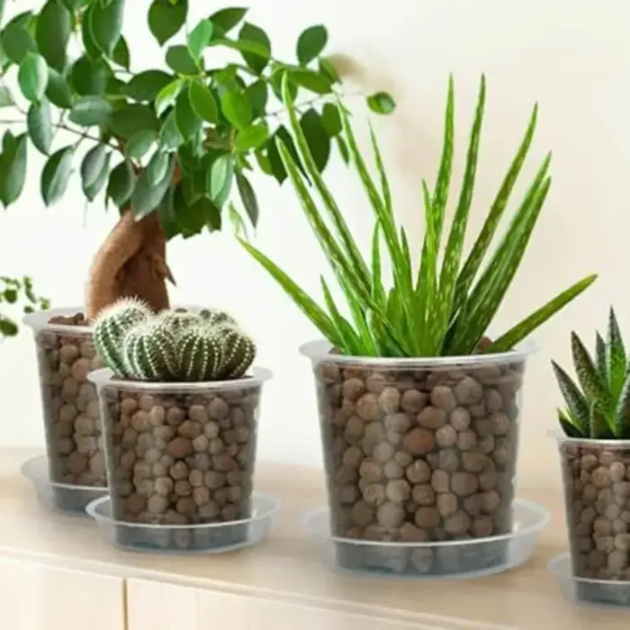 Nouveauté : Pot de pépinière transparent pour orchidées et herbes avec trou de drainage – Pot de fleurs
