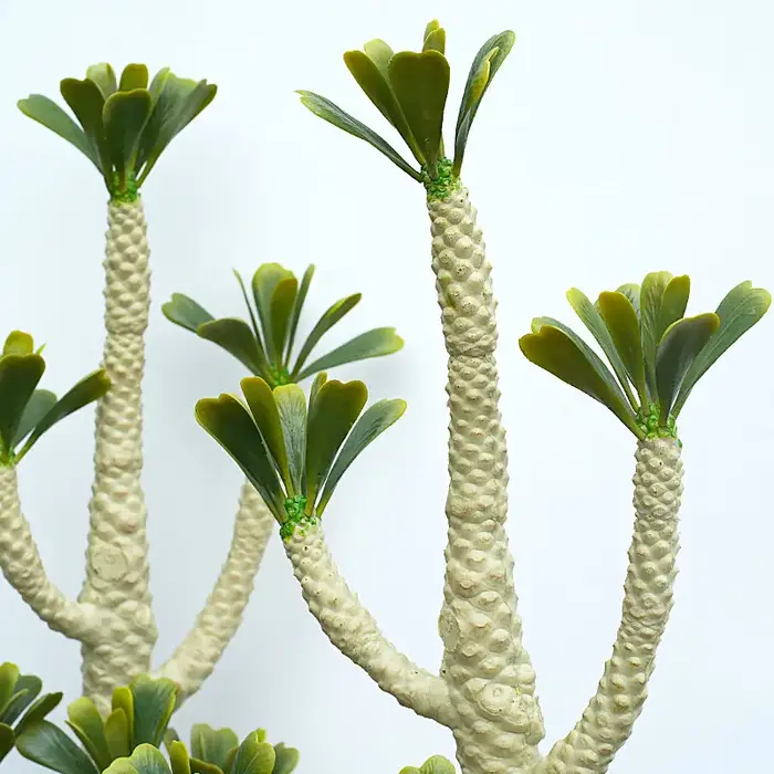 Plantes Tropicales Artificielles au Toucher Réel