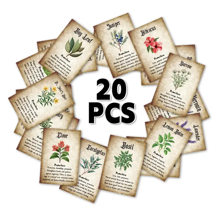 Cartes à base de plantes avec Illustrations botaniques