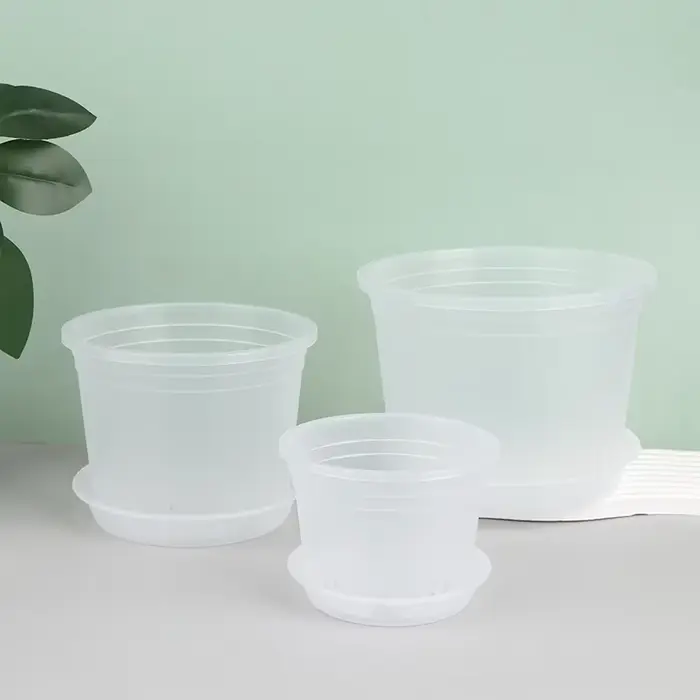 Pot d'orchidée rond Transparent avec/sans plateau