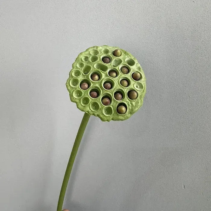 Plantes vertes artificielles en plastique Annie CanAmendements
