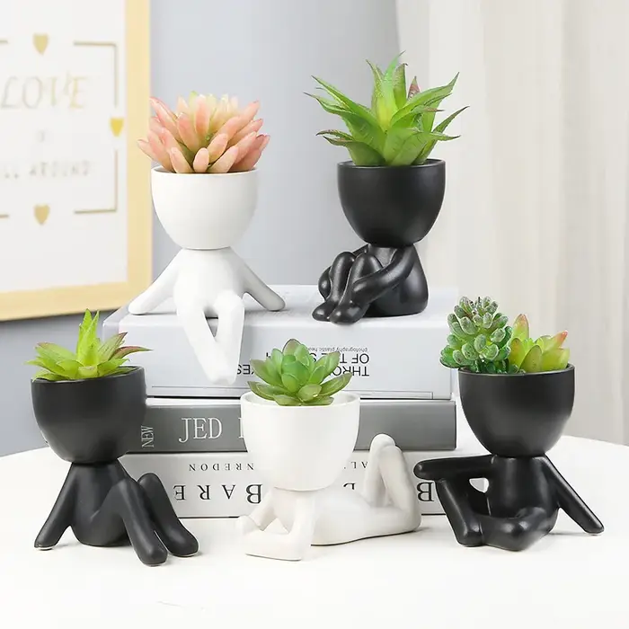 Pot de fleurs succulentes nordique