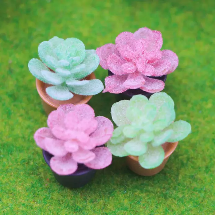 Mini simulation de plante succulente