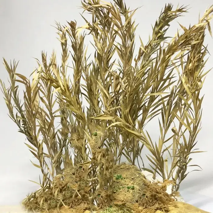 1 Boîte d'Accessoires pour Jardin Féerique, Scène Ferroviaire, Micro-Paysage, Grappes d'Herbe à Longues Feuilles, Végétation pour Table de Sable, Roseaux Miniatures