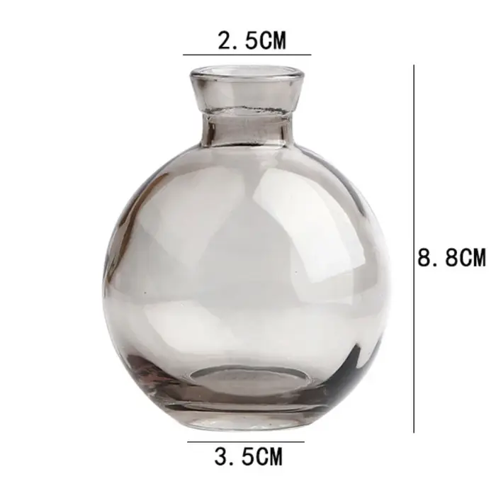 Mini vase à fleurs en verre transparent, bouteille de plante hydroponique créative, pot de fleurs de