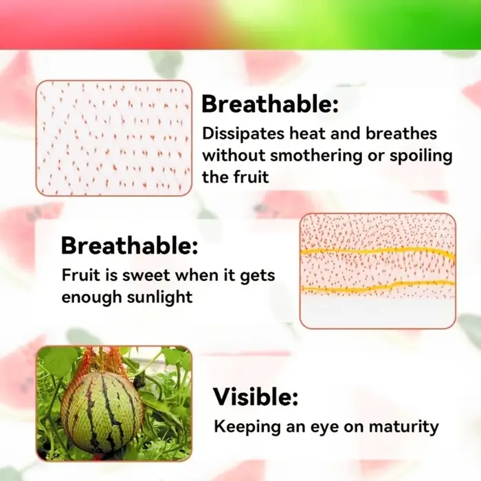 100 pièces de filet de jardinage en plastique robuste pour la culture verticale de melons et pastèques