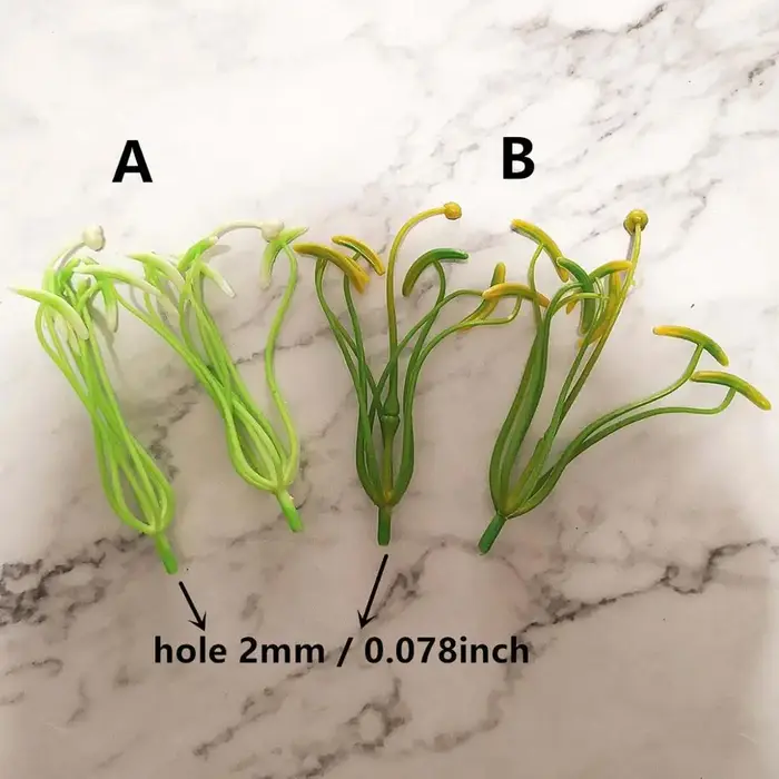 Pistil d'étamine de lys sélectionné