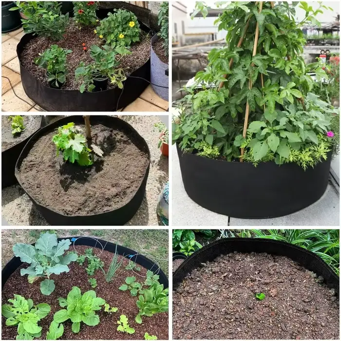 Récipient de plantation en feutre avec sac de jardin Foy, outils de jardin, 10 gallons, 30 gallons, 