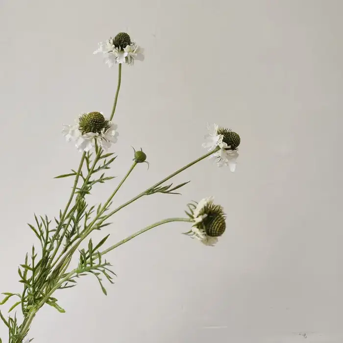 Fleurs artificielles de Scabiosa ambre, fausses fleurs de haute qualité, plantes décoratives d'intér