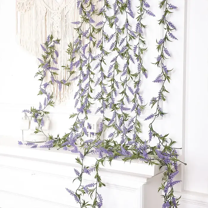 Plante de décoration pour la maison