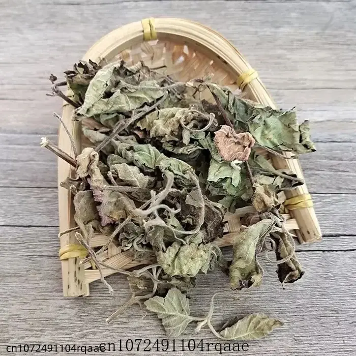 Feuilles d'Agastache Rugosa Séchées Naturelles Pures