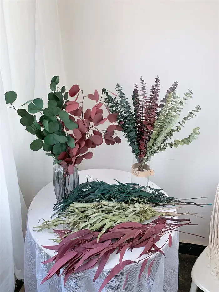 Feuilles d'eucalyptus naturelles