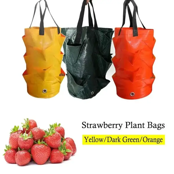 Sac de culture suspendu pour fraises et herbes