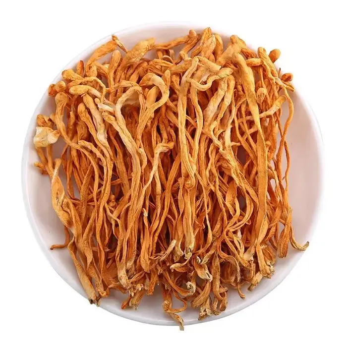 Fleur de Cordyceps séchée naturelle de qualité supérieure, pour savon de beauté et de santé, bougie 