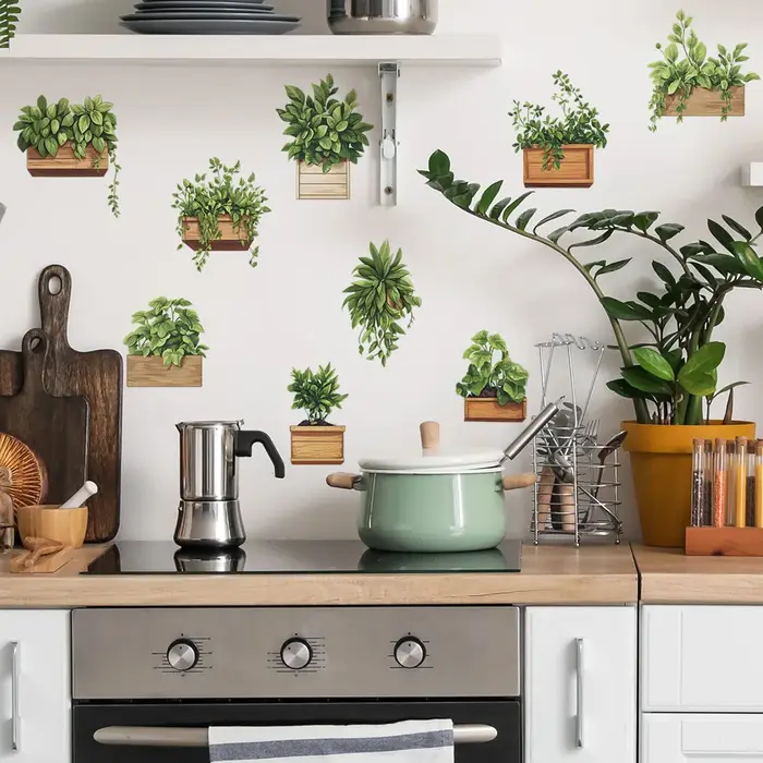 Plantes en pot de plantes vertes fraîches