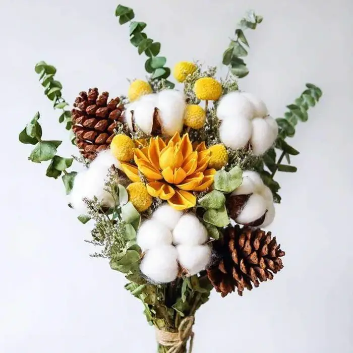 Fleurs de coton séchées naturellement