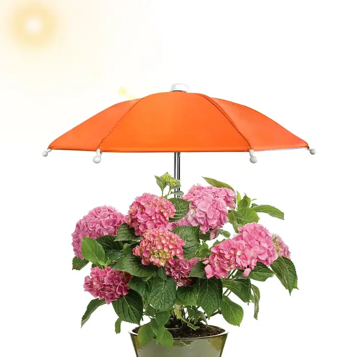 Parasol pour plantes de 27 cm