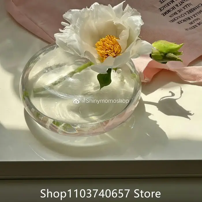 Vase en verre plat transparent de style français, pour fleurs et plantes vertes, pot de fleurs circu