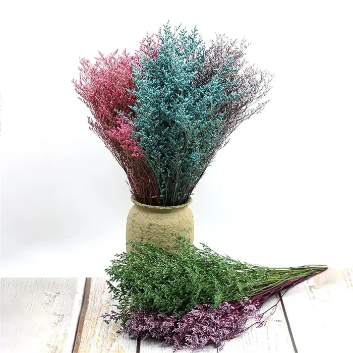Bouquet de fleurs d'amant séchées naturelles