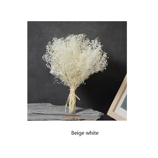 Fleur naturelle fraîche conservée pour bébé, fleurs séchées immortelles, cadeau pour fête de mariage