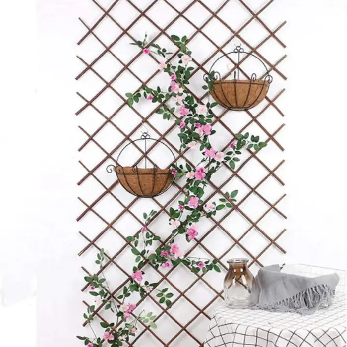 Treillis extensibles pour plantes grimpantes