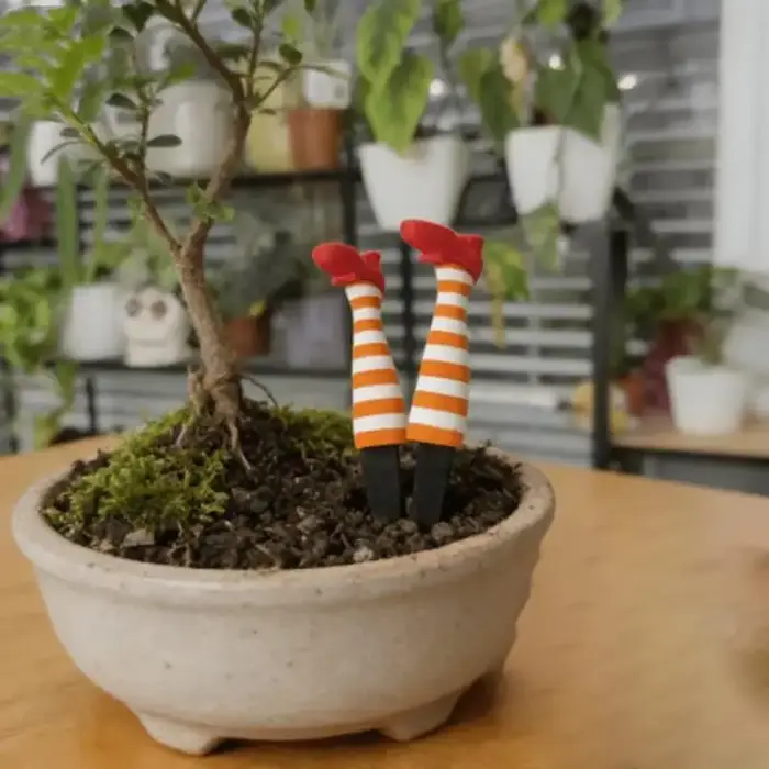 Mini Ensemble de Décoration de Jardinières