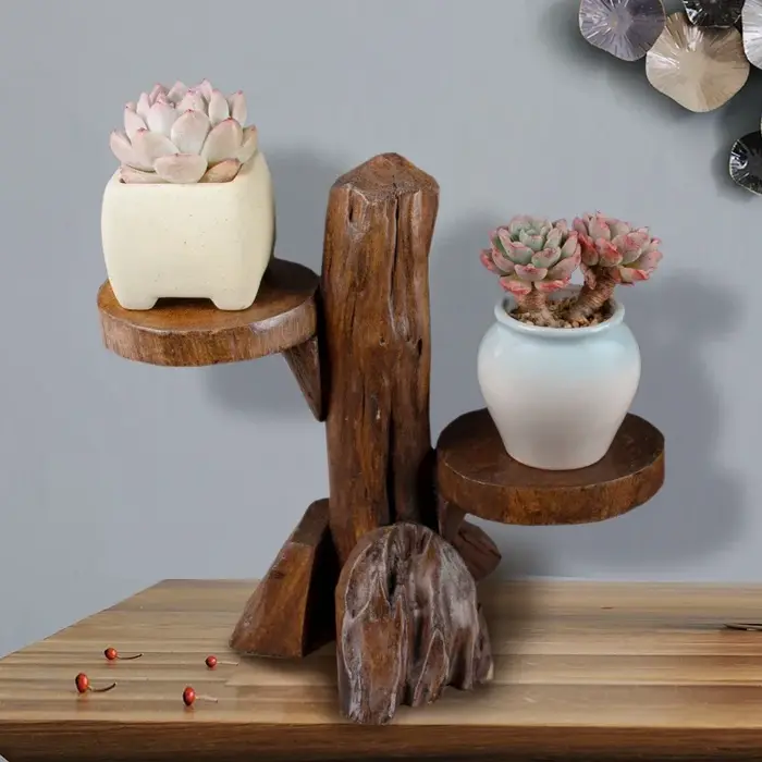 Support pour plantes succulentes en bois fait à la main