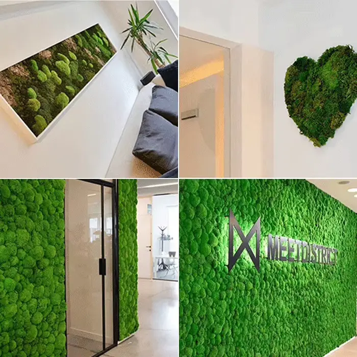 Plante Verte Artificielle