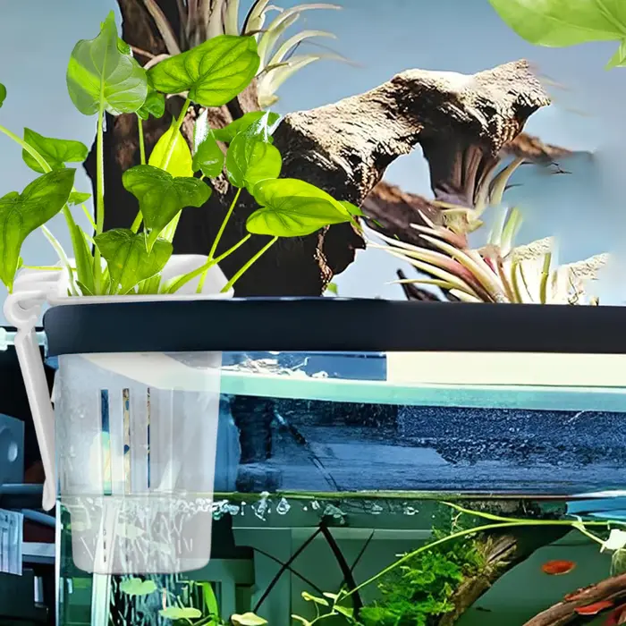 Porte-plante pour Poissons Précieux