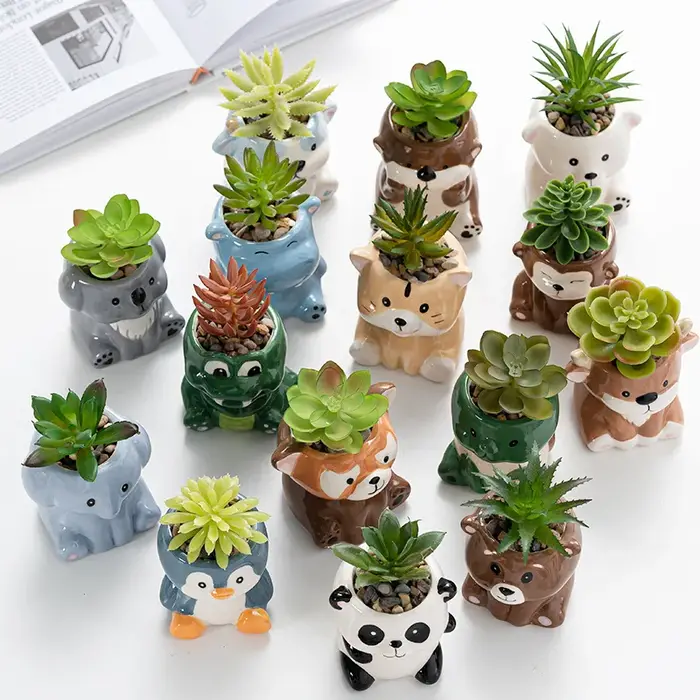 Pot de fleurs charnu mignon de dessin animé Amazon