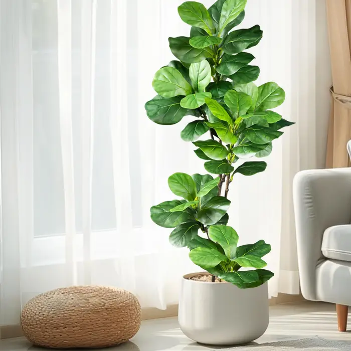 Ficus lyrata artificiel de 45-135 cm